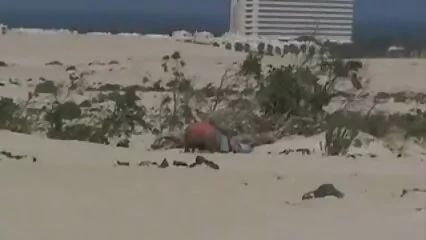 חווית קוקסינליות סרטים חינם מין חשובה לחמות.